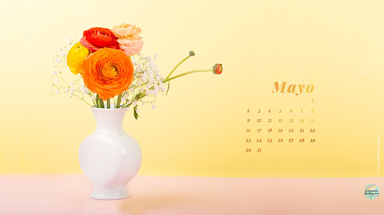 Fondo de Pantalla Escritorio Mayo 2025: Jeres y su Arte