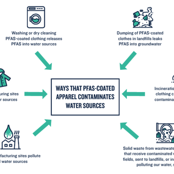 PFAS y Gore-Tex: Desafíos en la Ropa Funcional