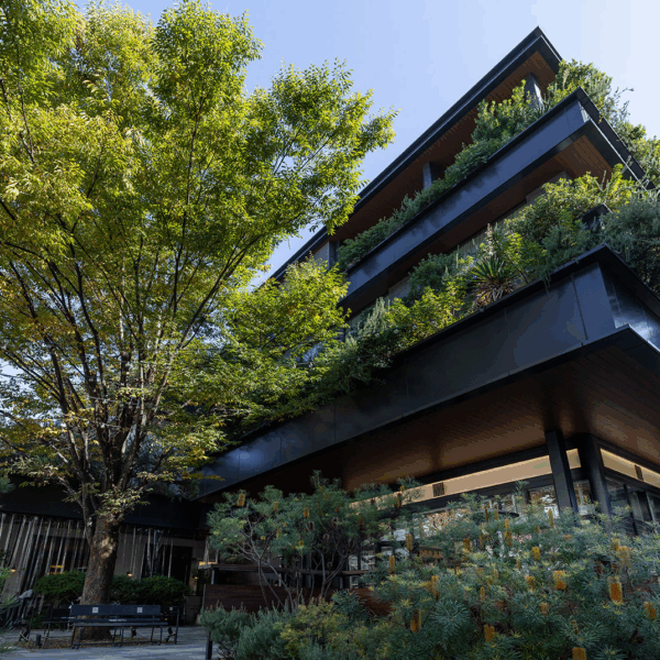 TRUNK(HOTEL) CAT STREET: Un Hotel Boutique en Tokio