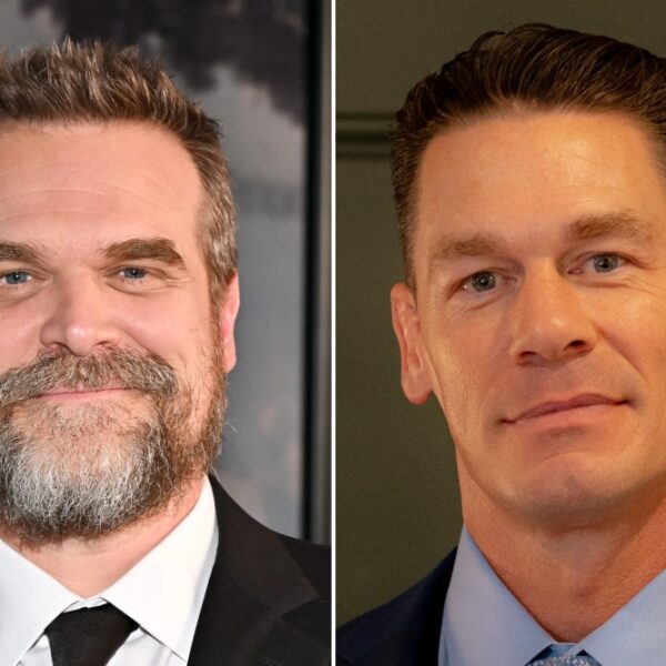 The Family Disappears: La Sorprendente Comedia del Año con David Harbour