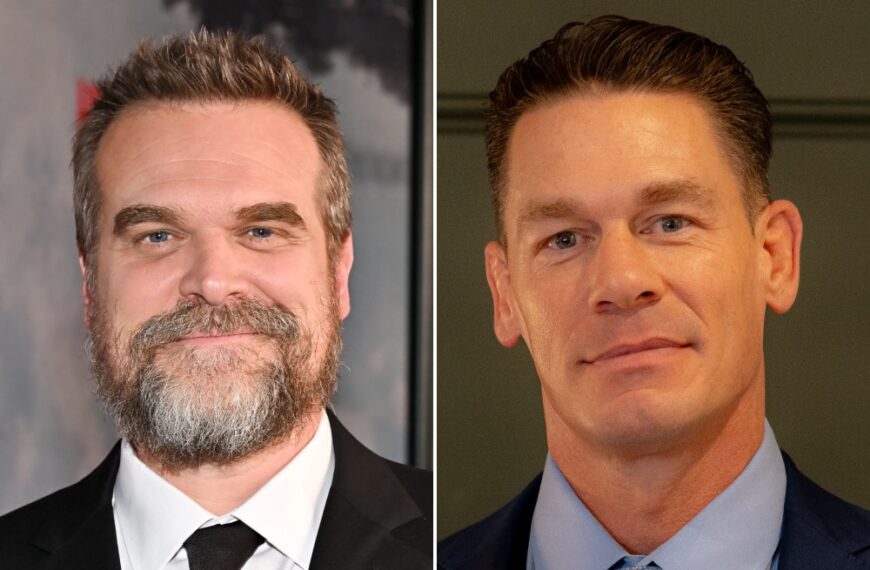 The Family Disappears: La Sorprendente Comedia del Año con David Harbour