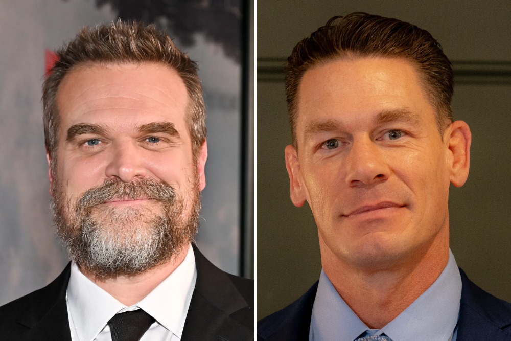 The Family Disappears: La Sorprendente Comedia del Año con David Harbour